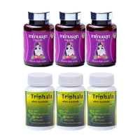 ราคา ว่านชักมดลูกขวดม่วง ตรีผลา หมออรรถวุฒิ (23661166437)