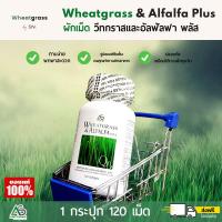 ราคา Wheatgrass Alfalfa Plus วีทกราส อัลฟาลฟา พลัส ผักอัดเม็ด ผักเม็ด แอมสตรอง เม็ดสีดำ Super Greenfood (13787568049)