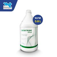 ราคา น้ำยา SWIMTRINE สวิมทรีน กำจัดตะไคร่น้ำเขียว สำหรับสระว่ายน้ำ ขนาด 3 8 ลิตร (18673442815)