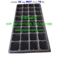 ราคา 70แผง papamami ถาดเพาะชำ สีดำ 32หลุม ลึก 11ซม MCT ถาดเพาะกล้า ถาดเพาะเมล็ด ถาดเพาะต้นอ่อน ถาดเพาะเมล็ด ถาดเพาะข้าว ถาดหลุมปลูกผัก ถาดปลูกผัก (5109194342)