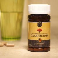 ราคา ORGANO GOLD 100 Certified Organic Ganoderma Lucidum เห็ดหลินจือแดงสกัดเข้มข้น ออร์แกนิคแท้100 ออร์กาโน่โกลด์ (710562237)