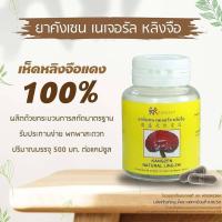 ราคา คังเซน เนเจอรัล เห็ดหลิงจือ Kangzen Natural Ling Zhi มี 60 แคปซูล แคปซูล ละ 500 มิลลิกรัม (15870583068)