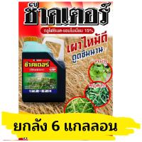 ราคา ยกลัง 6 แกลลอนx4ลิตร ช๊าคเตอร์ ตราฉลาม กลูโฟซิเนต แอมโมเนียม ยาฆ่าหญ้าสารทดแทนพาราควอต (20780176877)