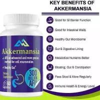 ราคา 300 billion Akkermansia Muciniphila 60 capsules Probiotic Weight and Gut Management Probiotic (23721746074)