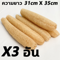 ราคา ไม่ก่อให้เกิดแบคทีเรีย ใยบวบ ฝีมือเยอรมัน ใยบวบขัดผิว การเติบโตตามธรรมชาติอย่างแท้จริง ใยบวบขัดตัว เพิ่มความดัน ประหยัดน้ำ ใยบวบธรรมชาติ การอาบน้ำแบบนวด ใยบวบ ไม่ก่อให้เกิดแบคทีเรีย ใยบวบธรรมชาติ การอ