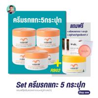 ราคา SET 5 กระปุก รีเบิร์ท ครีมรกแกะ REBIRTH PLACENTA ANTI WRINKLE CREAM 100 ml แถมฟรี สบู่Alright ครีมคอลลาเจน (18690134065)