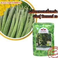 ราคา วิกเกอร์เอ เมล็ดพันธุ์บวบเหลี่ยม 50 250 ก ตราศรแดง (8220335568)