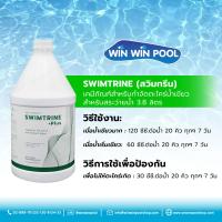 ราคา น้ำยา SWIMTRINE สวิมทรีน เคมีภัณฑ์สำหรับกำจัดตะไคร่น้ำเขียว สำหรับสระว่ายน้ำ ขนาด 3 8 ลิตร (8939804820)