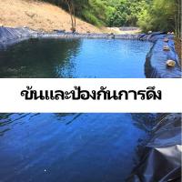 ราคา HDPE ผ้ายางปูบ่อปลา 0 5mm หนา พลาสติกปูบ่อ 2x2M 4x3M 6x8M 8x10M 6x16M ผ้ายางดำปูบ่อ ผ้ายางดำปูบ่อ ผ้าใบรองบ่อปลา พลาสติกโรงเรือน สระน้ำ ผ้าปูบ่อปลาหนา ผ้าใบ ปู บ่อปลา (8646441823)