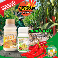 ราคา แมกม่าลาวาชุดทดลอง แมกม่า250ซีซี ลาวา500ซีซี (23966321489)