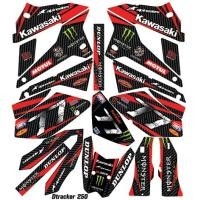 ราคา สติ๊กเกอร์ติดมอเตอร์ไซด์ รุ่น Dtracker 250 (9228871344)