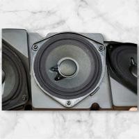 ราคา ดอกลำโพง Bose 101402502A ขนาด 4 5 นิ้ว รองรับกำลังขับได้สูงสุด 600 วัตต์ (21968780755)