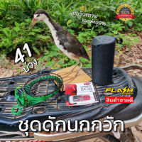 ราคา ครืนดักนกกวัก ครบชุดดักนกกวัก มีครืนเเขวน41บ่วง ได้นกกวักสตาฟ ลำโพง usbเสียงนกกวัก เก็บเงินปลายทาง (19479542275)