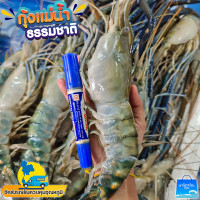 ราคา ส่งฟรี กุ้งแม่น้ำตัวใหญ่มันเยิ้มมันส์ดี 3 4ตัวโล (5948194105)