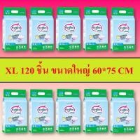 ราคา Feelfree แผ่นรองซับ XL ยกลัง 120 ชิ้น ขนาดใหญ่ ขนาดใหญ่ 60 75 แผ่นรองฉี่ ฟีลฟรี feel free เครือเดียวกับ Anan แผ่นรองซับผู้ใหญ่ แผ่นรอง ที่รองซับ (10414866977)