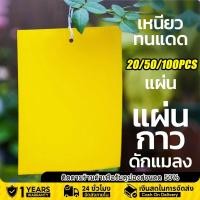 ราคา 20 50 100 200 500 แผ่น สีเหลือง แผ่นกาวดักแมลงขนาด แผ่นกาวดักแมลง กับดักแมลงกินผัก 20x10 ซม 20x15 ซม ดักแมลงศัตรูพืช กาวเหนียว กาวดักแมลงวันทอง 2 ด้าน สำหรับดักแมลงวันทอง แมลงศัตรูพืช ต่างๆ เหนียว ทนแ