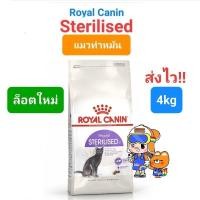 ราคา Royal Canin Sterilised 4kg โรยัลคานิน อาหารแมวโต ทำหมัน ทุกเพศ ถุงขนาด 4 กิโลกรัม (16492203348)