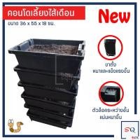 ราคา กล่องคอนโดเลี้ยงไส้เดือน รุ่นใหม่ แข็งแรงกว่าเดิม ซ้อนได้สูง จุได้เยอะ ไม่รวมแท่นวาง กล่องเลี้ยงใส้เดือน กล่องไส้เดือน ลังไส้เดือน (16332739208)