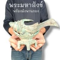 ราคา พระมหาสังข์อินเดียพร้อมมังพานรอง เนื้อโลหะสำริดหรือสังพระนารายณ์ งมขึ้นมาจากแม่น้ำสภาพมีสนิมติดเกาะเก่าโบราณมีโคนติด (20368725762)