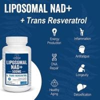 ราคา Lepoznan Liposomal NAD 500 mg Trans Resveratrol 300 mgTrue NAD Supplement Efficient Than NMN Sku 2318 (20062431744)
