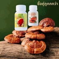ราคา เห็ดหลินจือ กาโนเอ็กเซล ganoexcel (24433976478)
