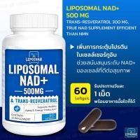 ราคา Lepoznan Liposomal NAD 500 mg Trans Resveratrol 300 mgTrue NAD Supplement Efficient Than NMN Sku 2318 (22029282180)