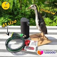 ราคา ครบชุด ต่อนกกวัก อุปกรณ์ดักนกกวัก ได้บ่วง41บ่วง ยาว4เมตร มีลำโพงไห้หนึงตัว usbเสียงนกกวัก ยาว1ชั่วโมง พร้อมนกกวักสตาฟ (23990763978)