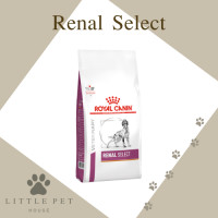 ราคา Royal Canin DOG Renal Select 2 kg อาหารประกอบการรักษาโรค สำหรับสุนัขโตอายุ 1 ปีขึ้นไป ที่เป็นโรคไตเรื้อรัง ที่มีภาวะของเสียในเลือดสูง (16312773585)