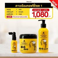 ราคา แชมพูดาวเรือง ทรีทเม้นท์ดาวเรือง โทนิค บำรุงเส้นผม ปัญหาผมหงอก ผมร่วง ผมบาง คันศรีษะ รังแค (22822909192)