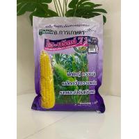 ราคา เมล็ดข้าวโพดหวาน ไฮบริกซ์72 ขนาด 1กก ตราแปซิฟิค ฝักใหญ่ หวานนุ่ม เมล็ดกว้างอวบแน่น ไฮบริก ไฮบริก72 ข้าวโพดหวาน (21764404849)