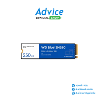 ราคา SSD M 2 PCIe 250 GB 5Y WD Blue SN580 WDS250G3B0E (20478430305)