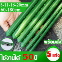 ราคา ใช้ได้ 50ปี 5ชิ้น ไม้ค้ำต้นไม้ ไม้ค้ำยัน ไม้หลัก เสาค้ำต้นไม้ เสามะเขือเทศ หลักไม้เลื้อย เสาไม้เลื้อย ยาว60 180ซม หนา8 16มม ซุ้มไม้เลื้อย โครงไม้เลื้อย ไม้ค้ำยันต้นไม้ ซุ้มต้นไม้ หลักไม้ค้ำ ท่อเหล็กP 