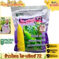 ราคา ไฮบริกซ์ 72 เมล็ดพันธุ์ข้าวโพดหวาน 1 กก ตราแปซิฟิค ฝักใหญ่ หวานนุ่ม เมล็ดกว้างอวบแน่น รากและลำต้นแข็งแรง (16310086304)