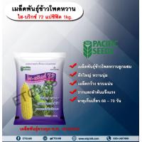 ราคา เมล็ดพันธุ์ข้าวโพดหวาน ไฮบริกซ์ 72 แปซิฟิค 1 kg เมล็ดพันธุ์ พันธุ์ใหม่ ฝักใหญ่ หวาน นุ่ม เมล็ดกว้าง อวบ แน่น ราก และลำต้นแข็งแรง ปลูกได้ตลอดปี (19047327032)