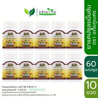 ราคา แพ็ค 10 ขวด อภัยภูเบศร ยาแคปซูลขมิ้นชัน ตราอภัยภูเบศร 400 มก 60 แคปซูล ขวด ขมิ้นชันแคปซูล ผลิตภัณฑ์สมุนไพรขายทั่วไป (17419974485)
