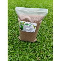 ราคา เมล็ดหญ้ามาเลเซีย 1 กิโลกรัม หญ้าสนาม หญ้ามาเลเซีย (24658138696)