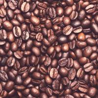 ราคา เมล็ดกาแฟ Espresso coffee คั่วเข้ม 100 Arabica Dark Roast 1 กิโลกรัม (11756620545)