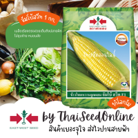 ราคา EWCOM 1 กก ใหม่ หมดอายุ 12 2568 เมล็ดพันธุ์ ข้าวโพดหวานจัมโบ้สวีท ตราศรแดง Sweet Corn (14510992660)