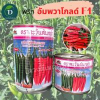 ราคา เมล็ดพริกอัมพวาโกลด์ ตะวันต้นกล้า 20กรัม และ 50 กรัม Amphawa goldพริกพริกขี้หนูเมล็ดพันธุ์พริกอัมพวาโกลด์เมล็ดพันธุ์พริกตะวันต้นกล้า (19339068076)