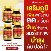 ราคา 1กระปุก ถังเช่า Grammar สูตรเข้มข้น ถั่งเช่าแท้ผสมโสมเกาหลี เห็ดหลินจือ เจียวกู่หลาน ตังกุย กระชายดำ 1 กระปุก 30 แคปซูล 500มก ล็อตใหม่ ส่งฟรี ของแท้จากบริษัท (24496331417)