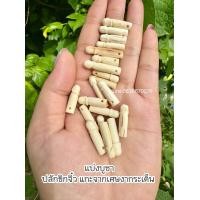 ราคา ปลัดขิก ขนาดจิ๋ว ร้านคละให้ แกะจากงากระเด็น หรืองากำจัดกำจายหักธรรมชาติ (22116884487)