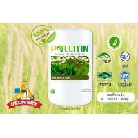 ราคา วีทกราส wheatgrass ใบอ่อนต้นข้าวสาลี พอลลิติน pollitin ของเเท้ พร้อมส่ง พอลลิตินของแท้ (23629689620)