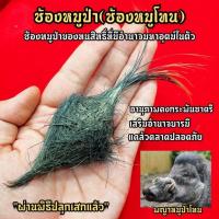 ราคา ช้องหมูป่า หมูป่าโทนเขี้ยวตัน อานุภาพเสริมอำนาจบารมีคงกระพันชาตรี ผู้ใดมีไว้บูชาจะเกิดผลกำบังตัวป้องกันตัวจากภัยต่างๆ (9198952864)