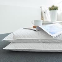 ราคา Buckwheat Shell Coreหมอนบ้านฤดูร้อน Buckwheat หมอนผิวหมอนและ Bolsters (23655864253)