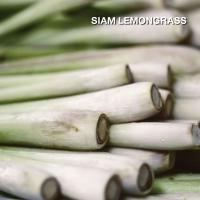 ราคา KARMAKAMET Aromatherapy Finest Cooling Spray คามาคาเมต สเปรย์หอมสูตรเย็น ดับร้อน ผ่อนคลาย สดชื่น กลิ่นหอม ของขวัญ (1371838939)