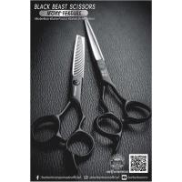 ราคา BarbeR brain กรรไกรตัดผม6 5 นิ้ว และ กรรไกรซอยผม 6 นิ้ว ด้ามจับสีดำ (15133026671)