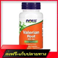 ราคา Delivery Free NOW FOODS VALERIAN ROOT 500 MG 100 Veg Capsules (20451394482)