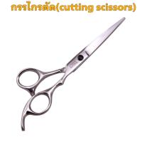 ราคา Toni Guy กรรไกรตัดผม โทนี่แอนกาย กรรไกรสำหรับร้านตัดผม ขนาด6นิ้ว วัสดุ สแตนเลสสติล 440C (24392143014)