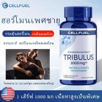 ราคา ฮอร์โมนเพศชายช่วยเพิ่มความแข็งแรง แคปซูล Tribulus Terrestris ฮอร์โมนเพศชาย อาหารเสริมสุขภาพของผู้ชาย เครื่องช่วยแข็ (22789966641)