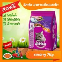 ราคา ส่งฟรีไม่ต้องใช้โค้ด วิสกัส Whiskas อาหารเม็ดแมวโต รสปลาทู 7 กก (19246816579)